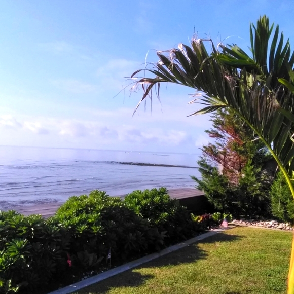 Meet your Posher, MacKenzie - Picture 1 of 1